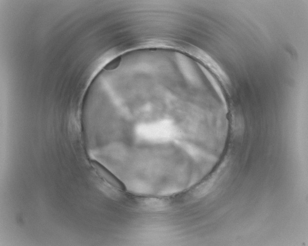 X0000114401097200911271513