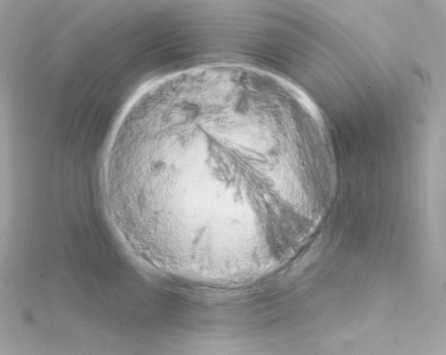 X0000114401099200911271513