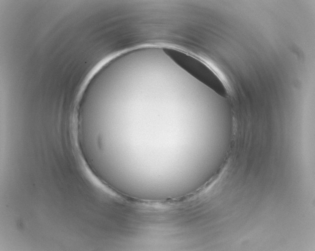 X0000114401100200911271513