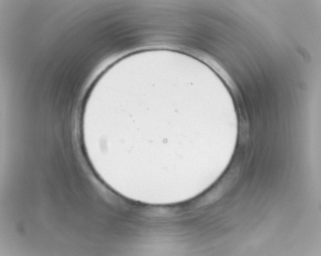 X0000114401101200911271513