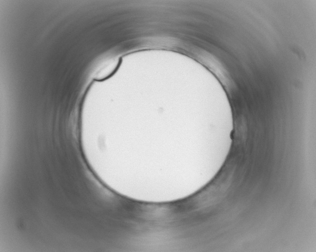 X0000114401103200911271513