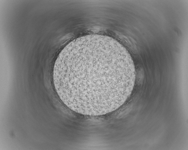 X0000114401105200911271512