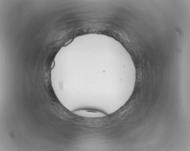 X0000114401109200911271512