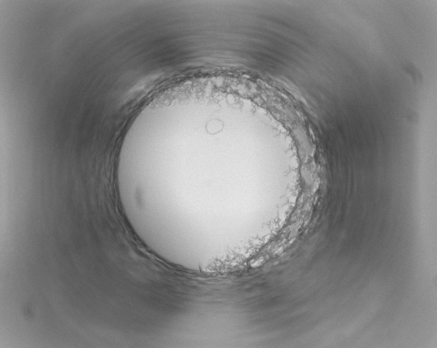 X0000114401110200911271512