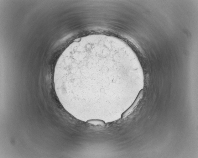 X0000114401111200911271512