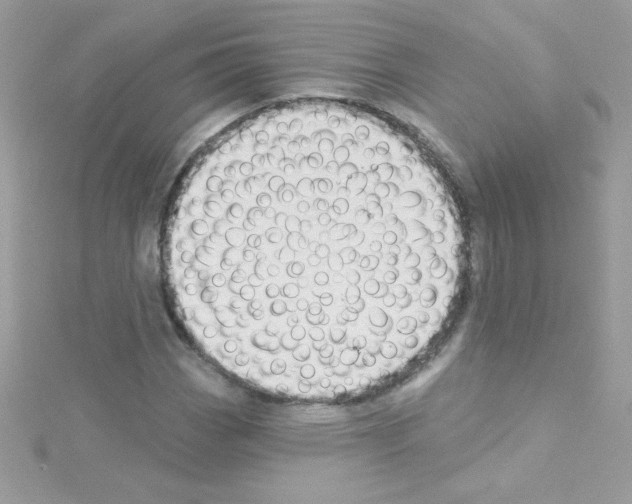 X0000114401113200911271512