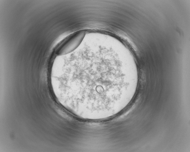 X0000114401114200911271512