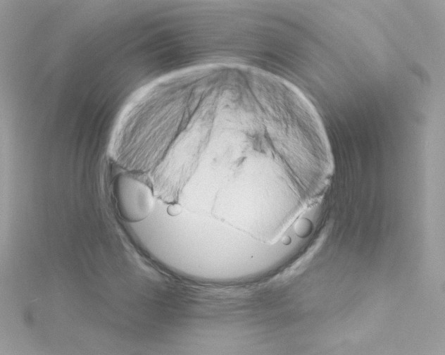 X0000114401117200911271512