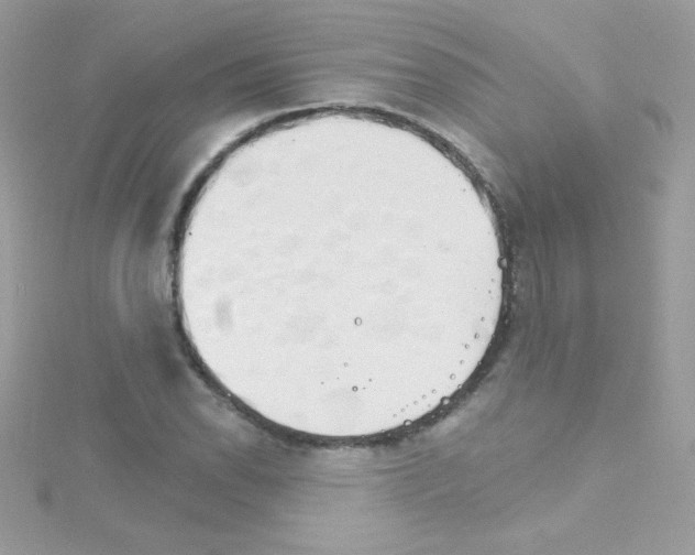 X0000114401118200911271512