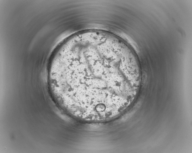 X0000114401125200911271512