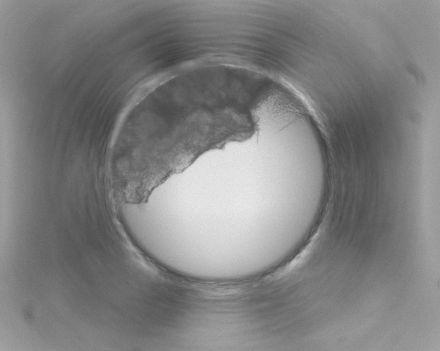 X0000114401129200911271512