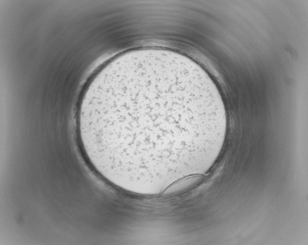 X0000114401133200911271512