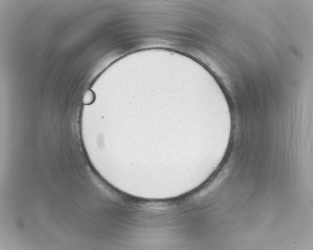 X0000114401137200911271512