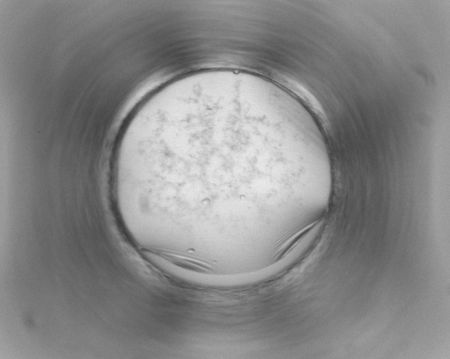 X0000114401138200911271512