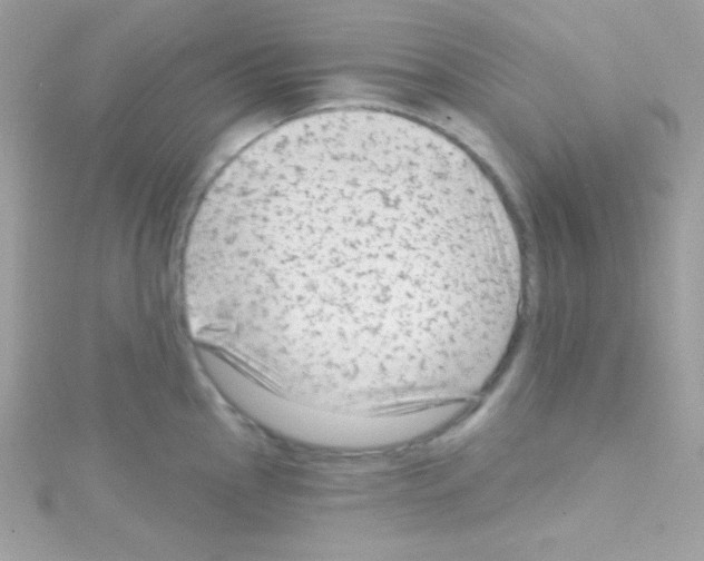 X0000114401145200911271512