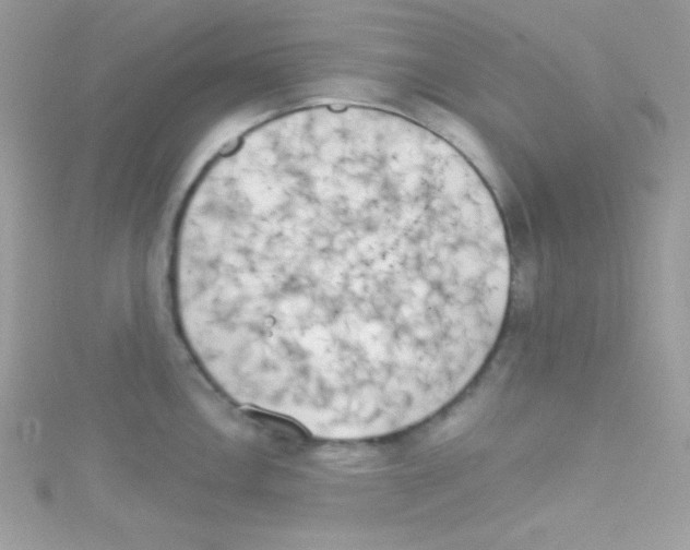 X0000114401146200911271512