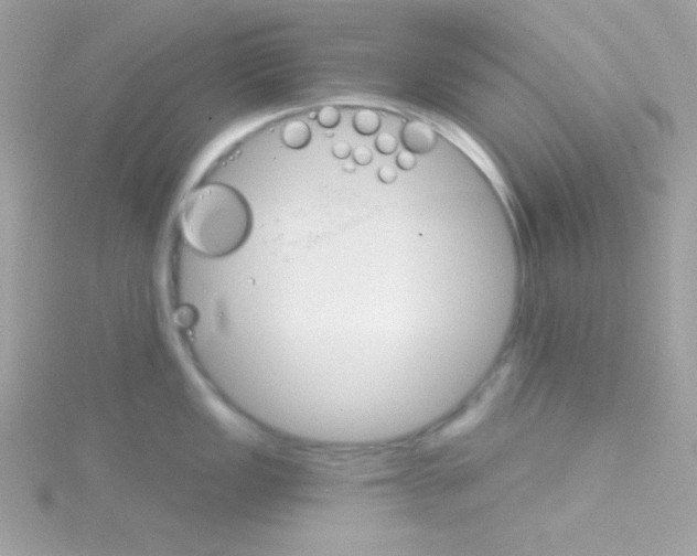 X0000114401149200911271512