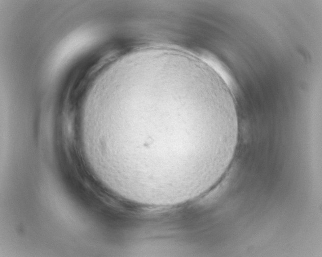 X0000114401150200911271512