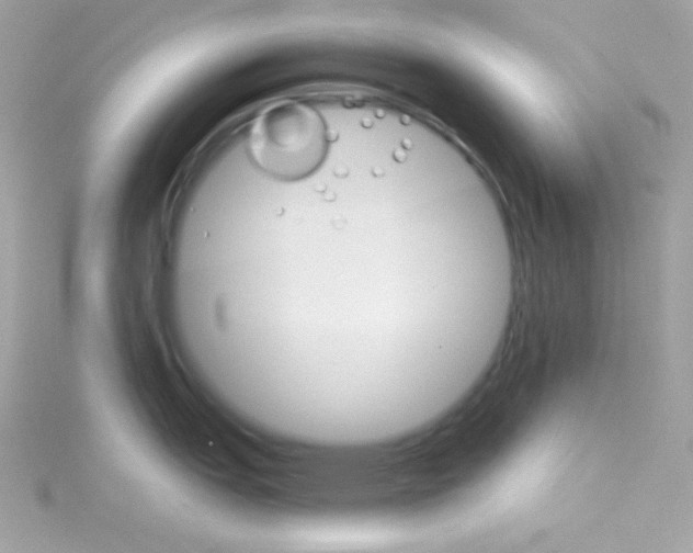 X0000114401151200911271513