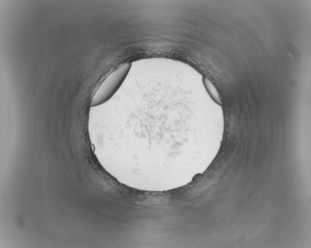 X0000114401153200911271512