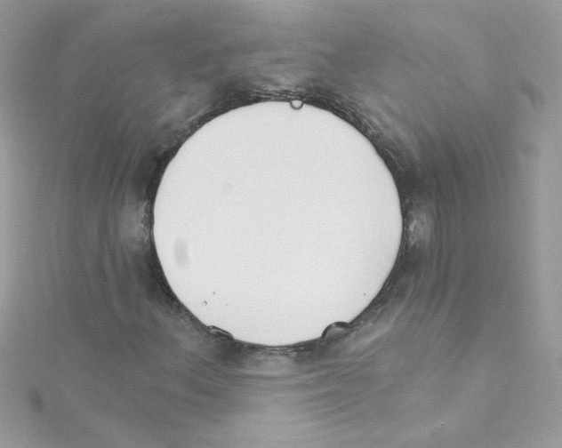 X0000114401156200911271512