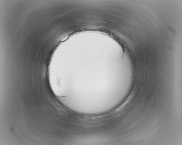 X0000114401161200911271512