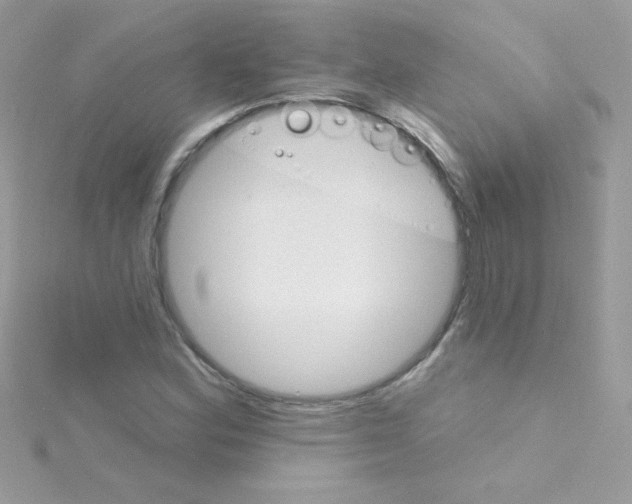 X0000114401164200911271512