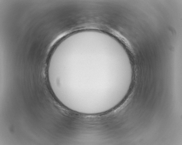 X0000114401166200911271512