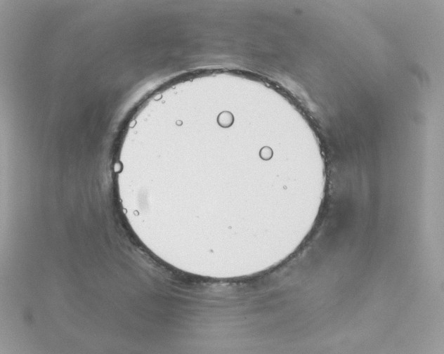 X0000114401167200911271512