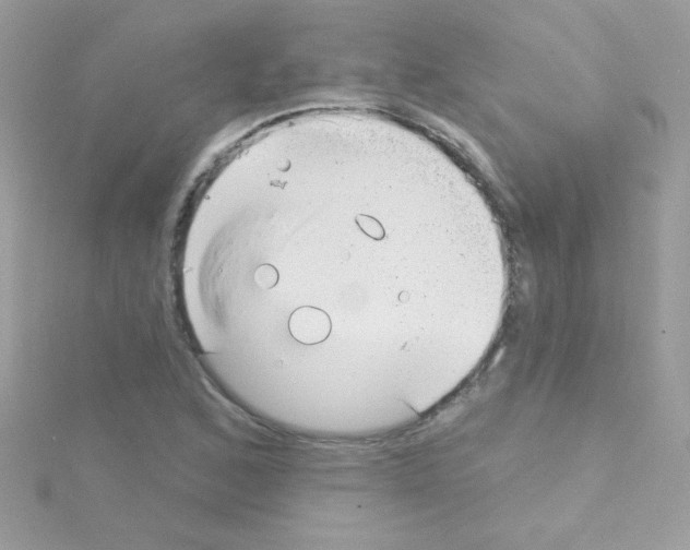 X0000114401168200911271512