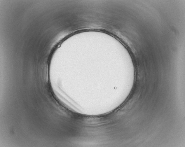 X0000114401171200911271512