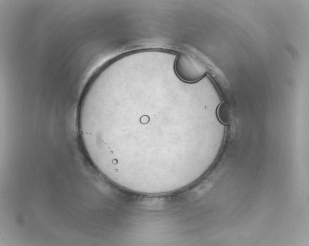 X0000114401174200911271512