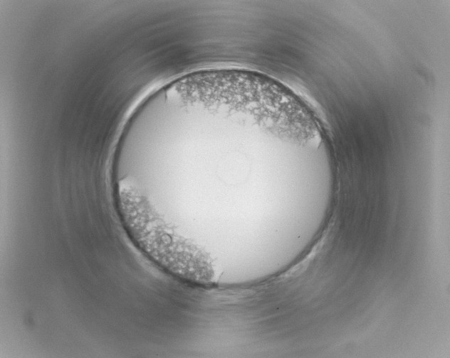 X0000114401181200911271512