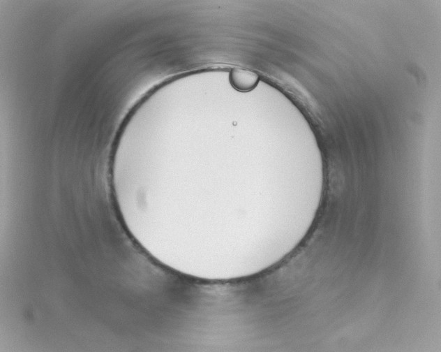 X0000114401182200911271512