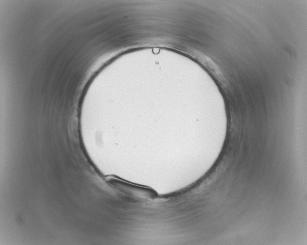 X0000114401184200911271512