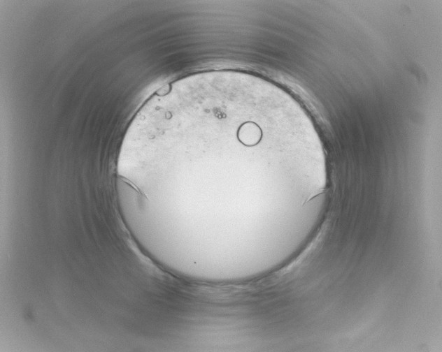 X0000114401185200911271512