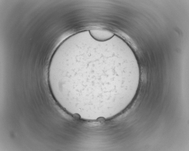 X0000114401186200911271512