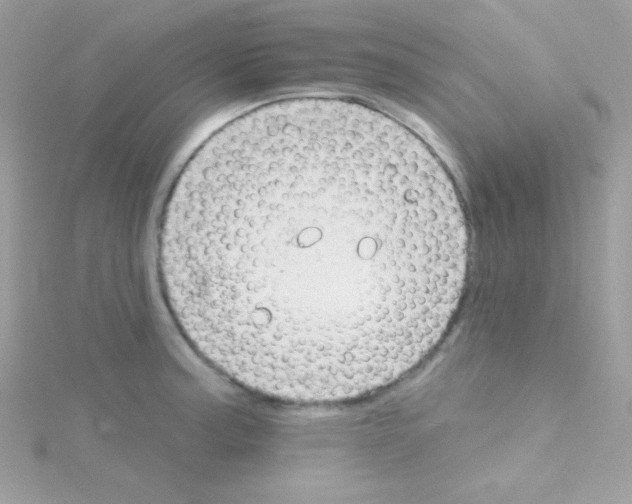 X0000114401187200911271512