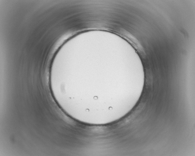 X0000114401188200911271512