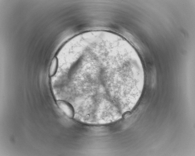 X0000114401189200911271512