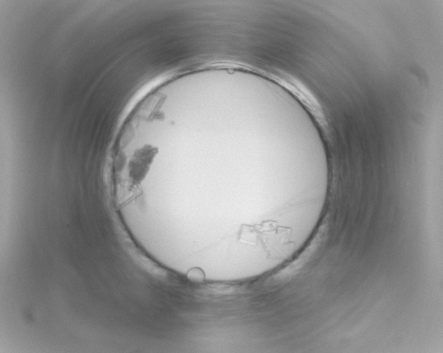 X0000114401190200911271512