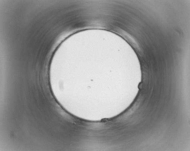 X0000114401192200911271512