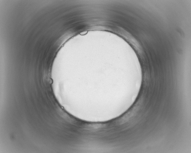 X0000114401193200911271512