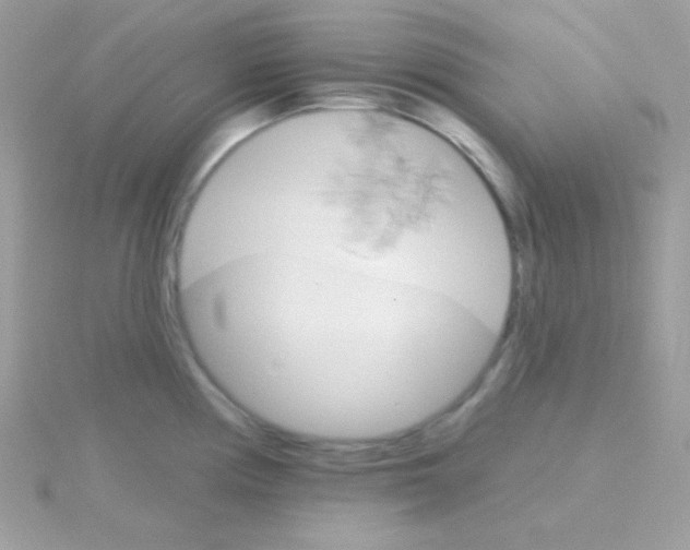 X0000114401194200911271511