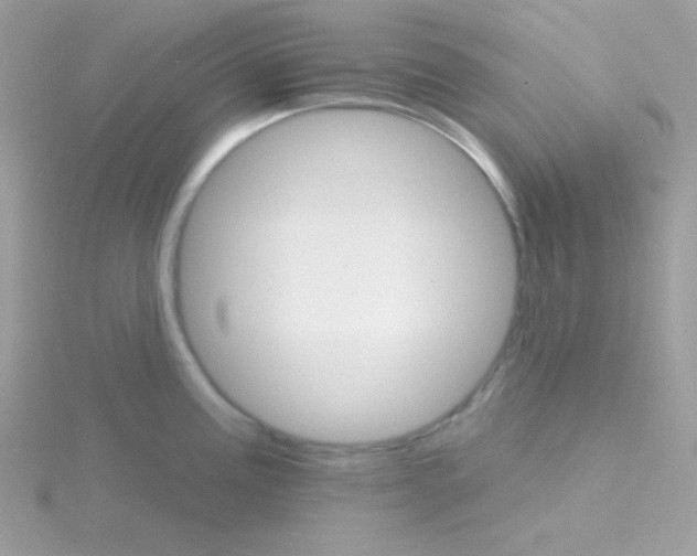 X0000114401195200911271511