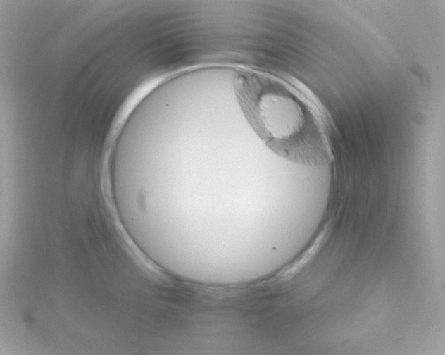 X0000114401196200911271511