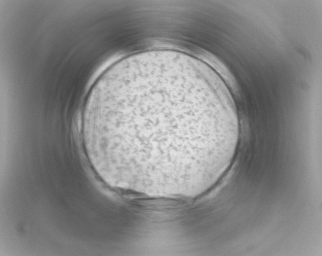 X0000114401198200911271511