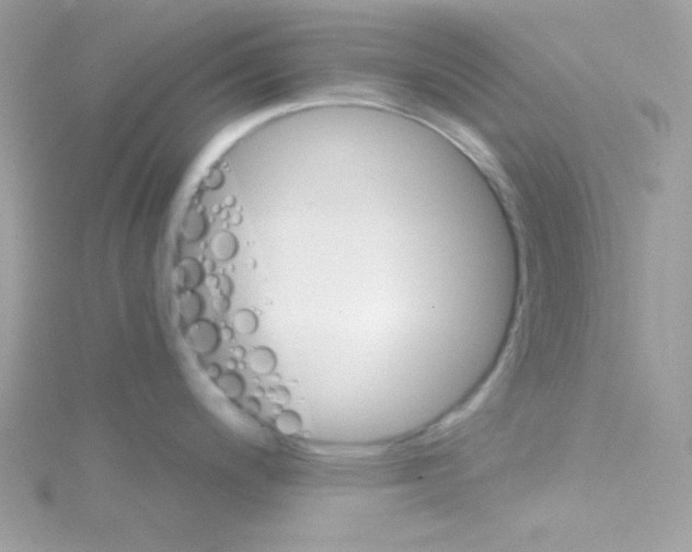 X0000114401200200911271511