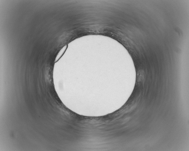 X0000114401202200911271511