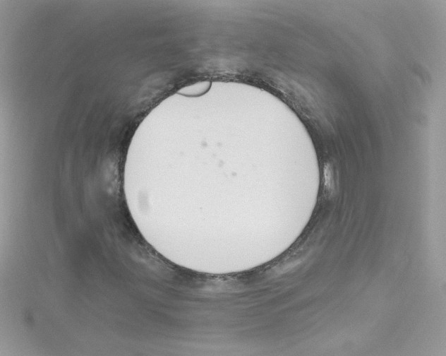 X0000114401203200911271511